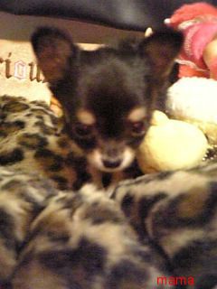 &#x{11:F8E2};なんでもいｰから&#x{11:F8E2};