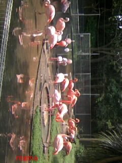 &#x{11:F8E2};なんでもいｰから&#x{11:F8E2};