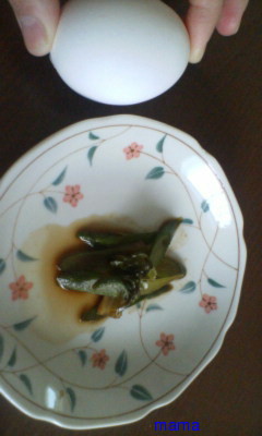 今夜の晩ご飯★