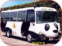 キャラクターものの幼稚園か保育園バスの写真