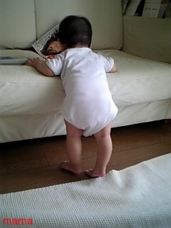 つくば市付近のママ&#x{11:F9F4};