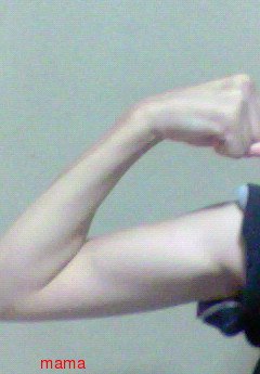 あなたの二の腕見せて～