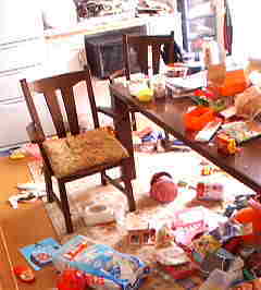 史上最汚！！の自宅。綺麗にしたい！