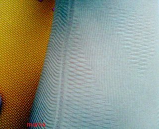 ｼﾏﾑﾗのｶﾞｰﾄﾞﾙでｹﾂ上がった!再