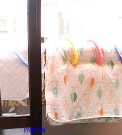 史上最汚！！の自宅。綺麗にしたい！