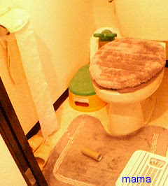 史上最汚！！の自宅。綺麗にしたい！