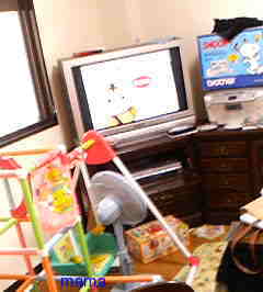 史上最汚！！の自宅。綺麗にしたい！