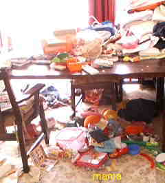 史上最汚！！の自宅。綺麗にしたい！