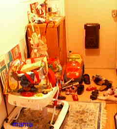 史上最汚！！の自宅。綺麗にしたい！