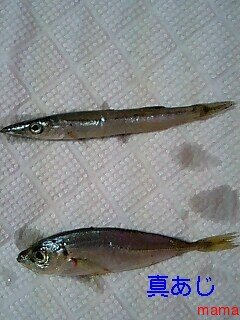 今夜の晩ご飯★