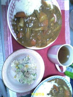 今夜はｶﾚｰだよ～！と報告するﾄﾋﾟ