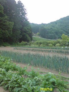 我こそは田舎に住んでるよって方！