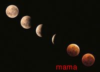 ●８月２８日は全国で皆既月食が見られるそうです●