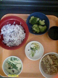 今日の昼食は何？