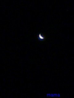 ●８月２８日は全国で皆既月食が見られるそうです●