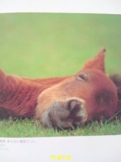 ぽろりしとるがな