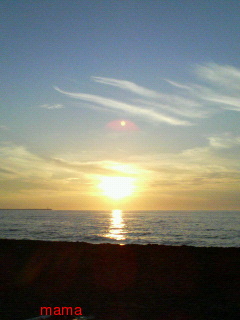 ぽろりしとるがな