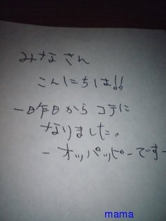 みんな字見せて
