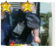 つくば市付近のママ&#x{11:F9F4};