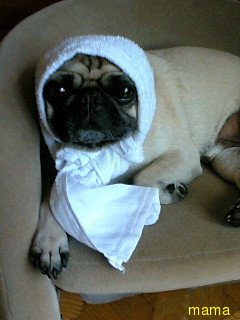 ヒマだね…(´・ω・)