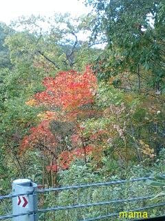 火星地主[ｺｰﾎﾟ地主]入居者募集