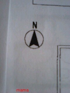 これは何向き？