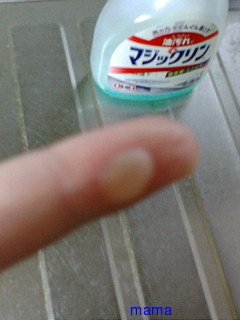 火星地主[ｺｰﾎﾟ地主]入居者募集