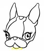 ガルシアと間違えて…