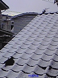 ぽろりしとるがな