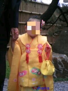 茨城の常総市付近の人いるかな？…？