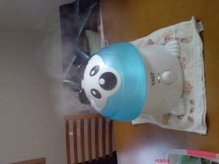 みなさんちの加湿器はどこの？