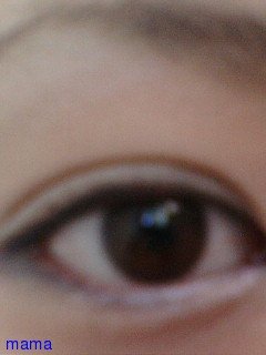 火星地主[ｺｰﾎﾟ地主]入居者募集