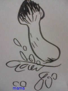 火星地主[ｺｰﾎﾟ地主]入居者募集