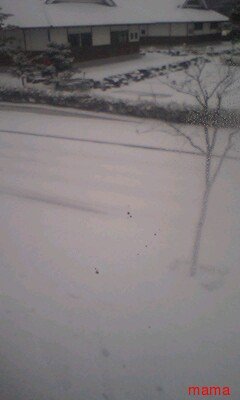 火星地主[ｺｰﾎﾟ地主]入居者募集