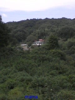 うち 東京都で小田急線で新宿の次に大都会と言われてますが 写あり