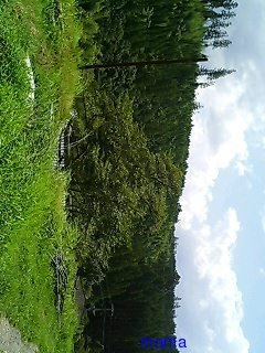 塩鯖はいつ獲れますか？