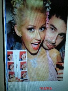 ブリちゃんまた妊娠？