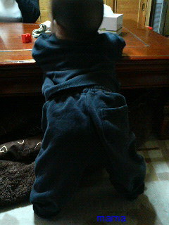 つくば市付近のママ&#x{11:F9F4};