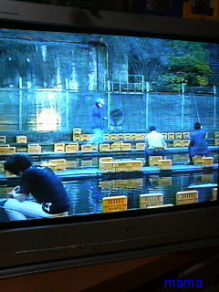 新ドラマ【ＳＰ】フジ土曜11月3日スタート