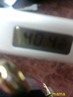 火星地主[ｺｰﾎﾟ地主]入居者募集