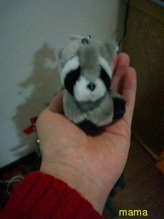 手ピカジェルにｱﾗｲｸﾞﾏのストラップ