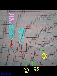 私の基礎体温表見てください(>人<)