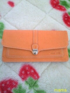 お財布見てください。framework