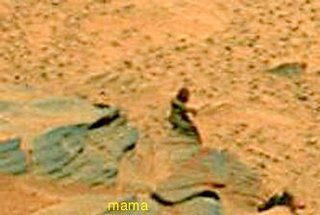 火星に生命体！？