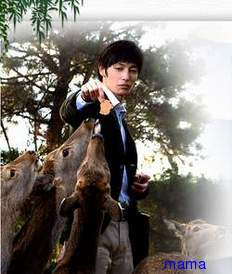 【鹿男あをによし】玉木宏主演でドラマ化