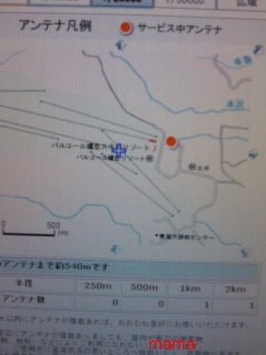 至急！WILLCOM持ってる方！