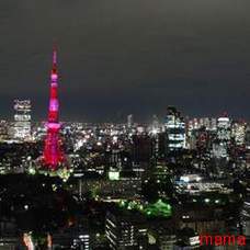 ライトアップされた東京タワー