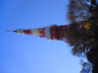 ライトアップされた東京タワー