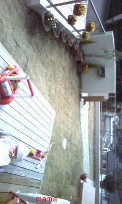 庭、玄関先見せてください☆