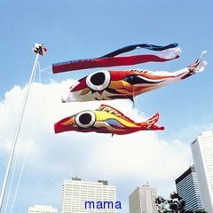 岡本太郎のこいのぼり★